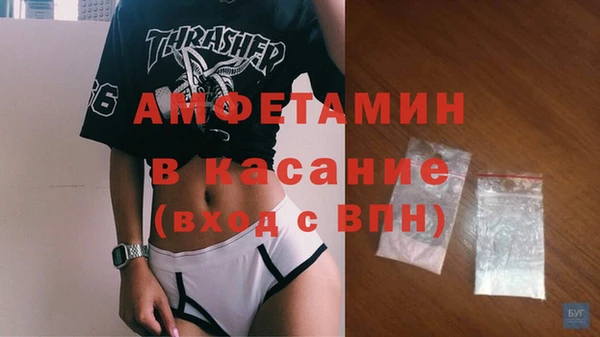 сатива Медногорск