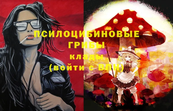 ешки Мегион