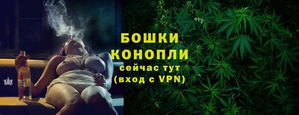 сатива Медногорск