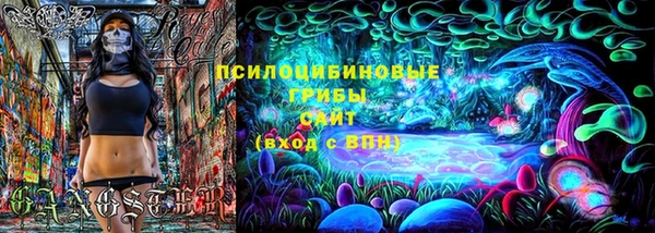 сатива Медногорск