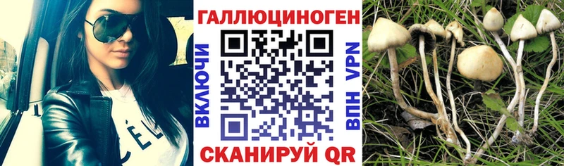 Псилоцибиновые грибы Cubensis Ростов-на-Дону