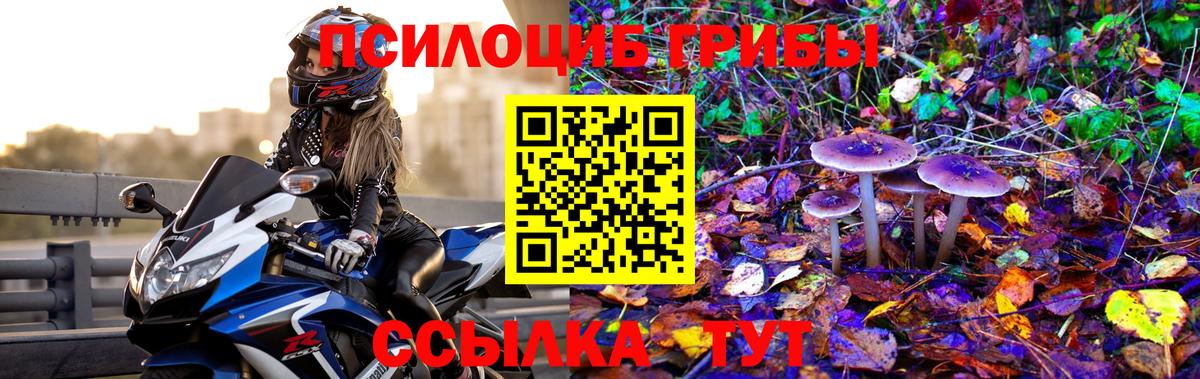 Ростов-на-Дону  что такое наркотик  Вход с VPN  Псилоцибиновые грибы Magic Shrooms 
